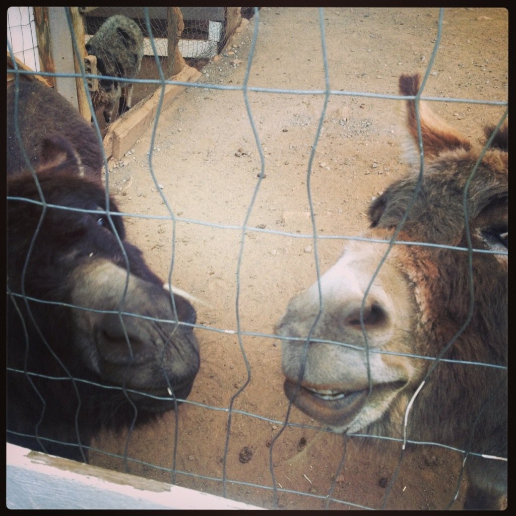 Goodnight cali, good morning world!