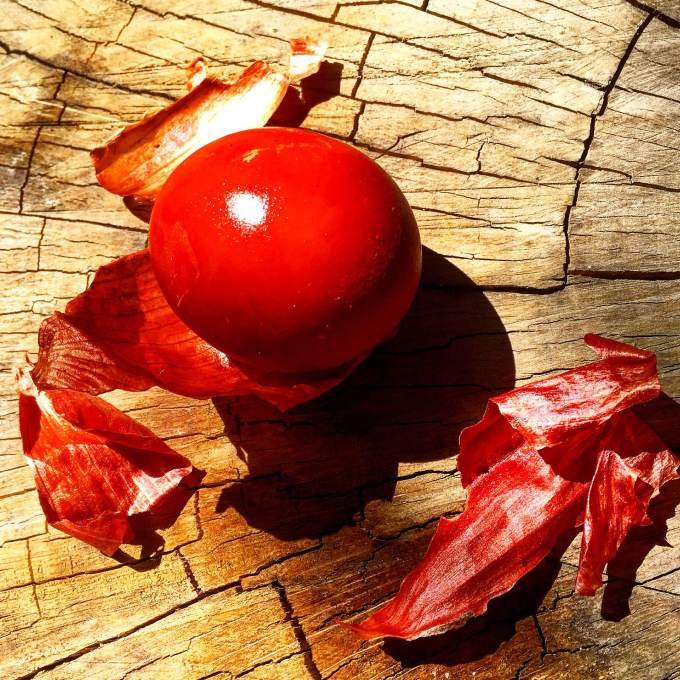 Photo of my red egg with the yellow onion peels. 